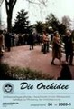 Die Orchidee 56(1) 2005