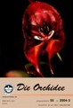 Die Orchidee 55(3) 2004