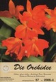 Die Orchidee 57(4) 2006